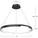 Anello Minor LED 32 inch Black Pendant Ceiling Light